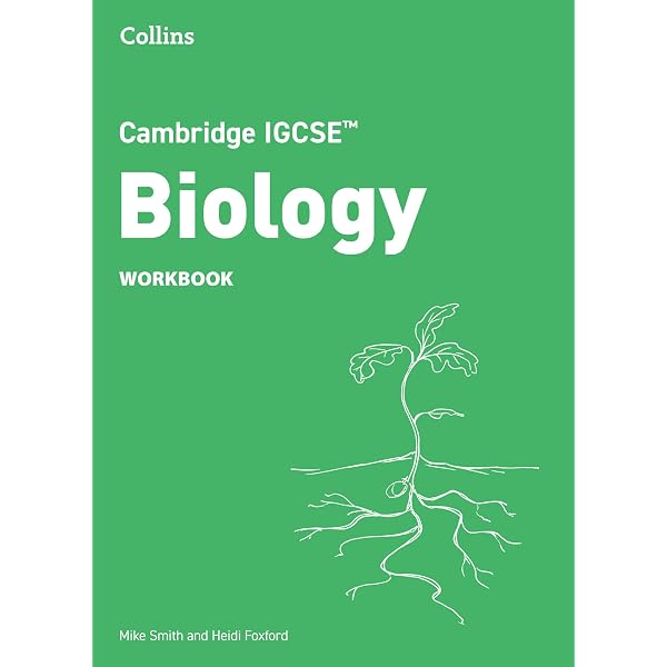 Cambridge International AS and A Level Computing Coursebook